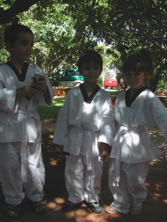Les 3 powers rangers !