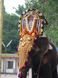 Eléphant paré du Kerala