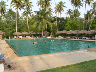 La piscine de l'hotel